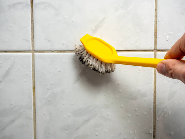 Highland, MD Mold Remediation Company