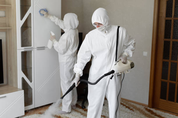 Best HVAC Mold Remediation in Highland, MD