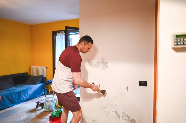 Best Bathroom Mold Remediation in Highland, MD