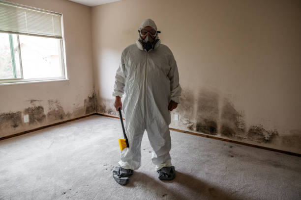 Best Mold Remediation for Specific Building Types in Highland, MD